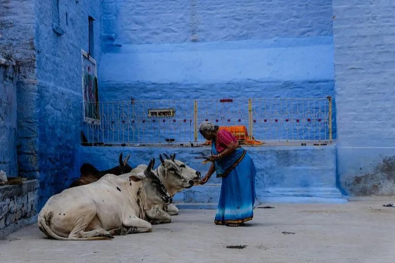 While indigo is effective in repelling the sun’s rays, it cannot sustain when lashed with rain. Image: Unsplash 